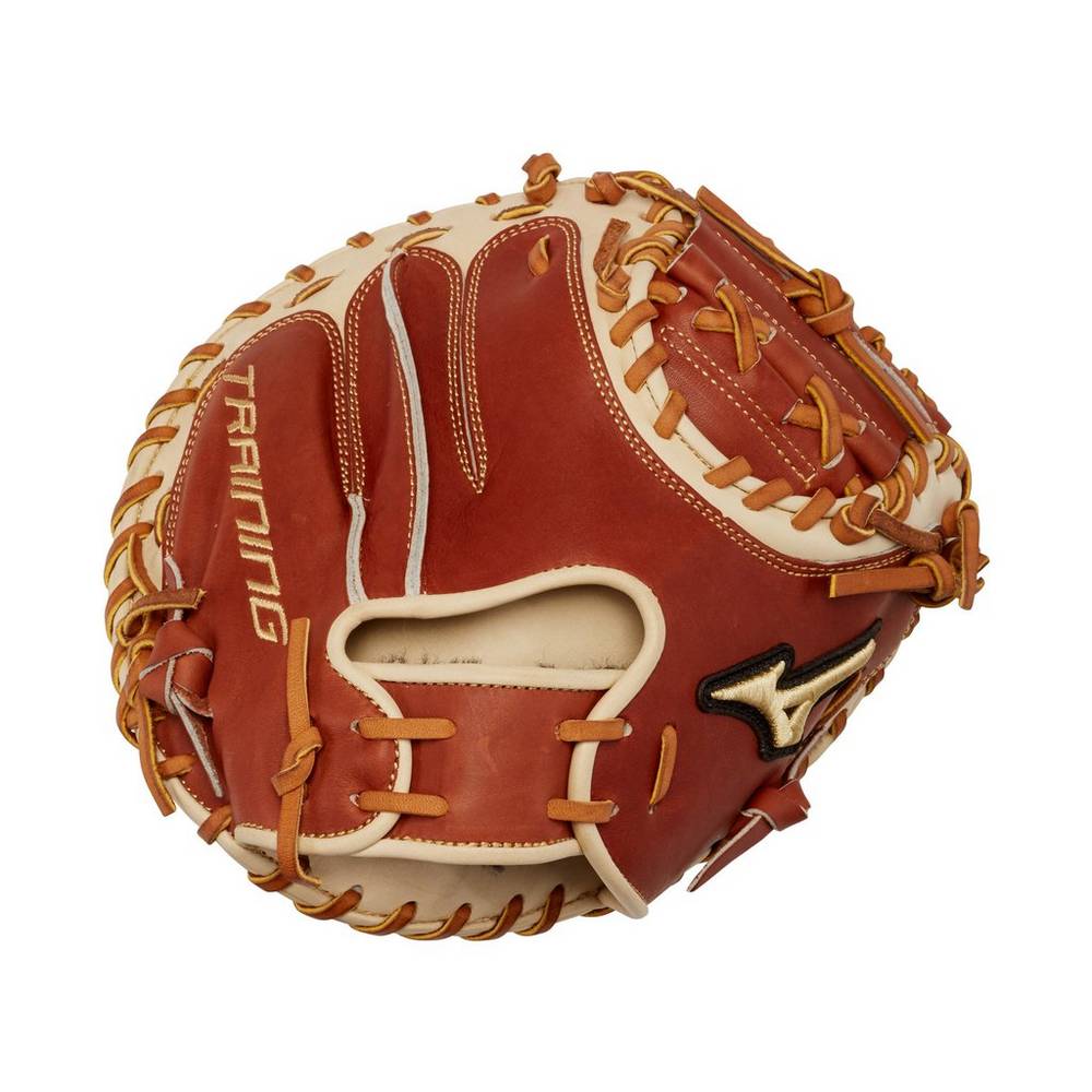 Catchers Mitt Mizuno Pro Select Training 31" Hombre Marrones Baratas DWET-57081